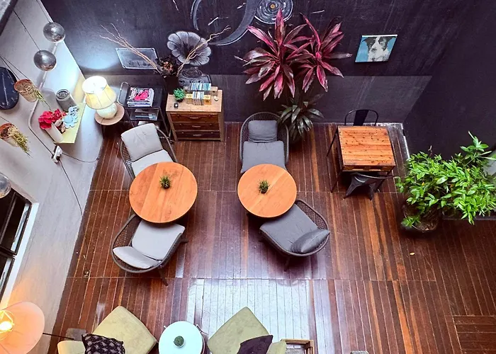 Kim Haus Loft